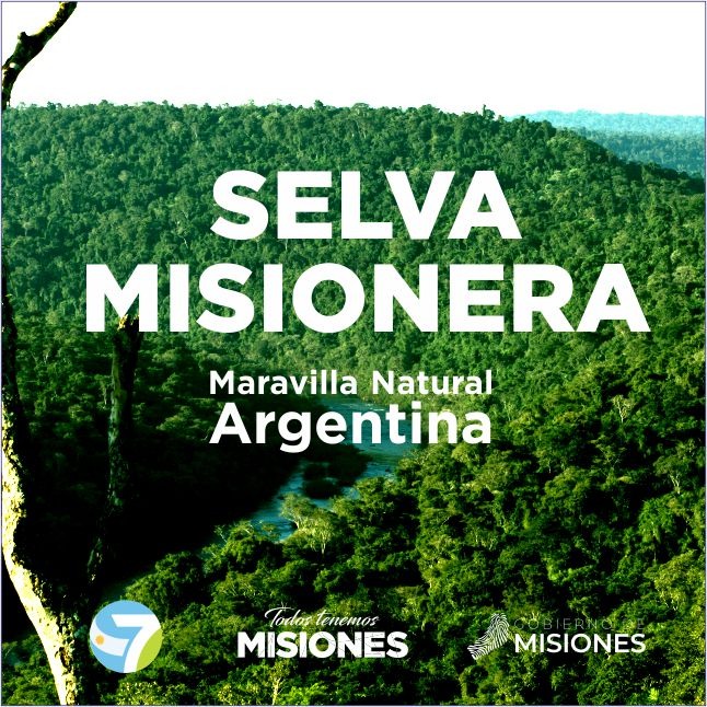 Orgullo: la Selva Misionera, Maravilla Natural Argentina 1 2 - WhatsApp Image 2019 05 07 at 21.14.51 - 1