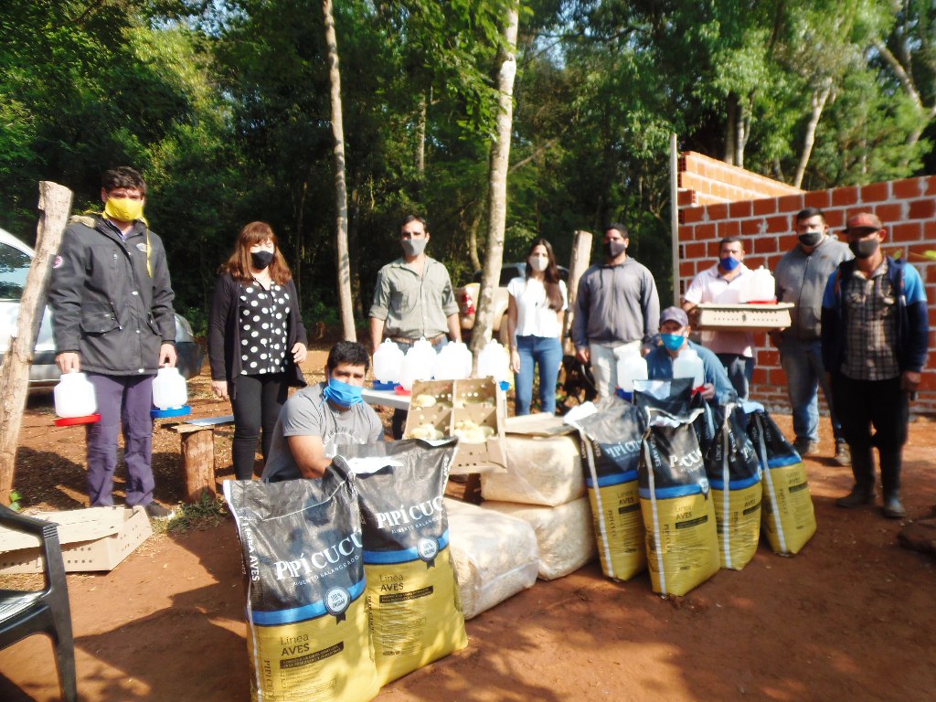 Para potenciar la producción avícola misionera entregaron insumos y pollitos a tres municipios 1 2 - aves - 1