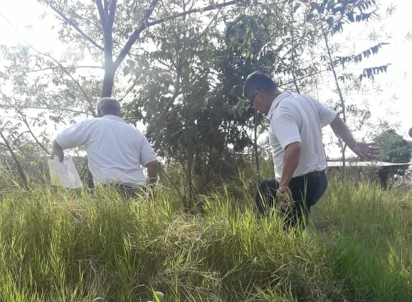 Avanzan los trabajos de relevamiento en terrenos baldíos posadeños 1 2 - baldios2 - 1