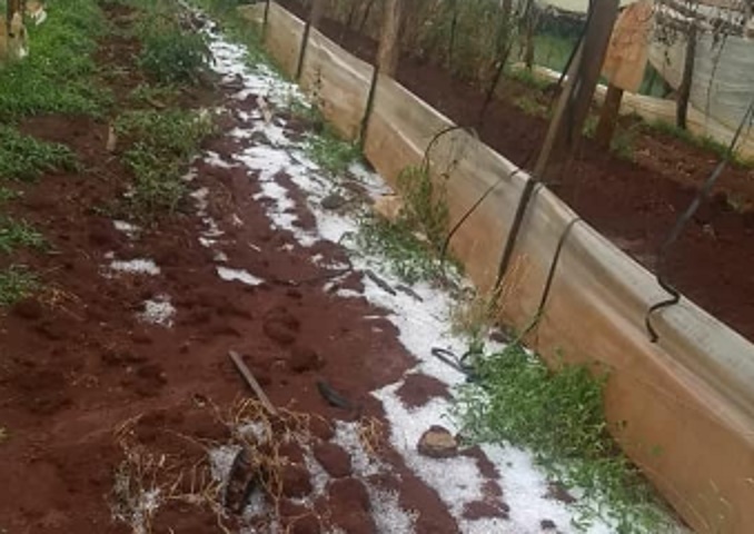 Caída de granizo afectó a zonas rurales de San Vicente y El Soberbio 1 2 - Intensa caida de granizo - 1