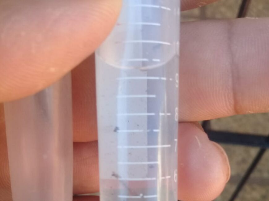 Lucha contra el dengue en Posadas: finalizó el operativo de control en el barrio Itaembé Guazú 1 2 - Dengue en Posadas - 1
