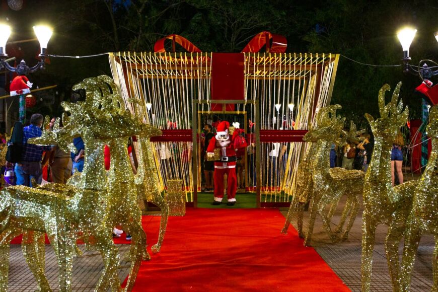 Operarios municipales embellecieron diferentes sectores de Posadas con adornos navideños 1 2 - Embellecimiento Posadas 1 - 1