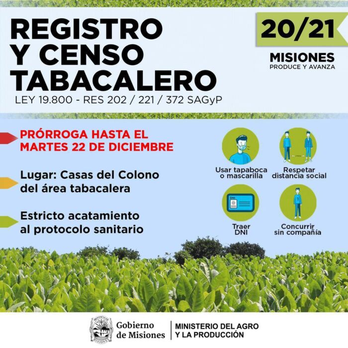 El Registro Tabacalero se prorroga hasta el 22 de diciembre 1 2 - registro - 1