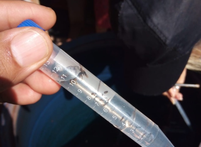 Dengue: redoblan los controles preventivos en Posadas 2 4 - Operativo contra el dengue 2 - 3