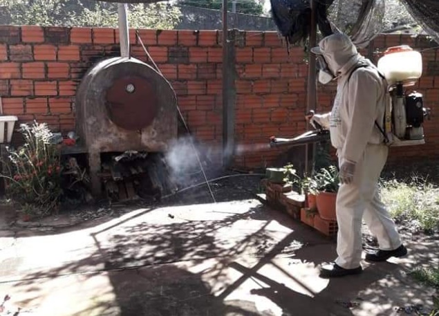 Lucha contra el dengue en Posadas: agentes refuerzan los operativos de prevención 1 2 - Dengue en Posadas - 1