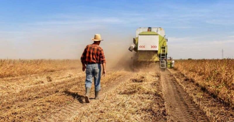 D A Del Trabajador Rural Por Qu Celebra Hoy De Octubre