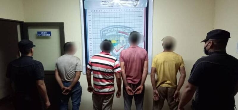 Cuatro personas terminaron detenidas en Colonia Delicia luego de desmontar un lote de pinos 1 2 - colonia delicia3 - 1