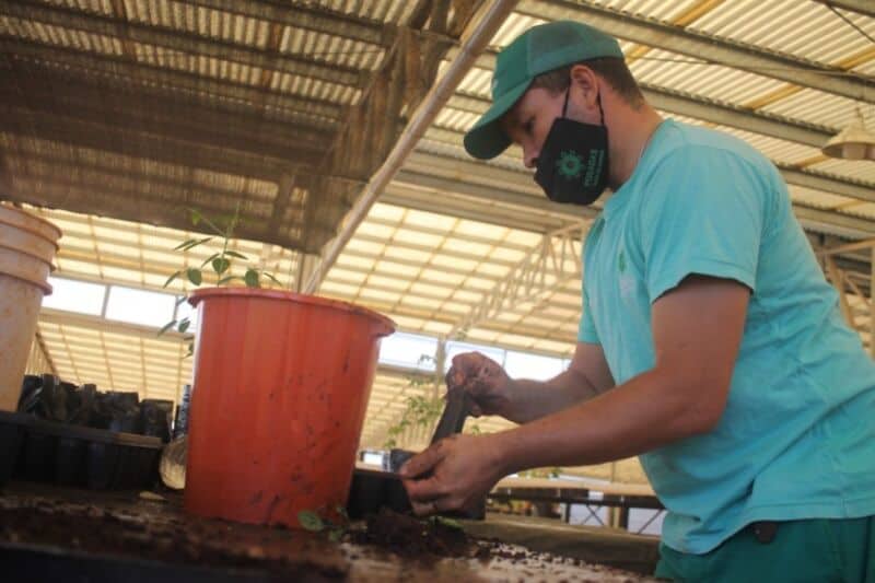 El Centro de Investigación del Jardín Botánico produjo 27 mil especies arbóreas 2 4 - WhatsApp Image 2022 03 23 at 10.07.52 - 3
