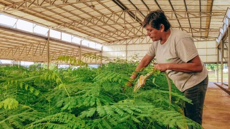 Fortalecen las relaciones con la comunidad posadeña mediante la plantación de hortalizas 2 4 - hortaliza 3 - 3
