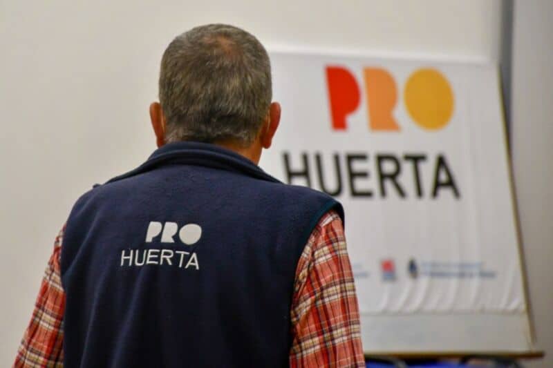 Pro Huerta promueve la seguridad alimentaria de 55 mil familias misioneras 1 2 - Pro Huerta Foto 4 - 1