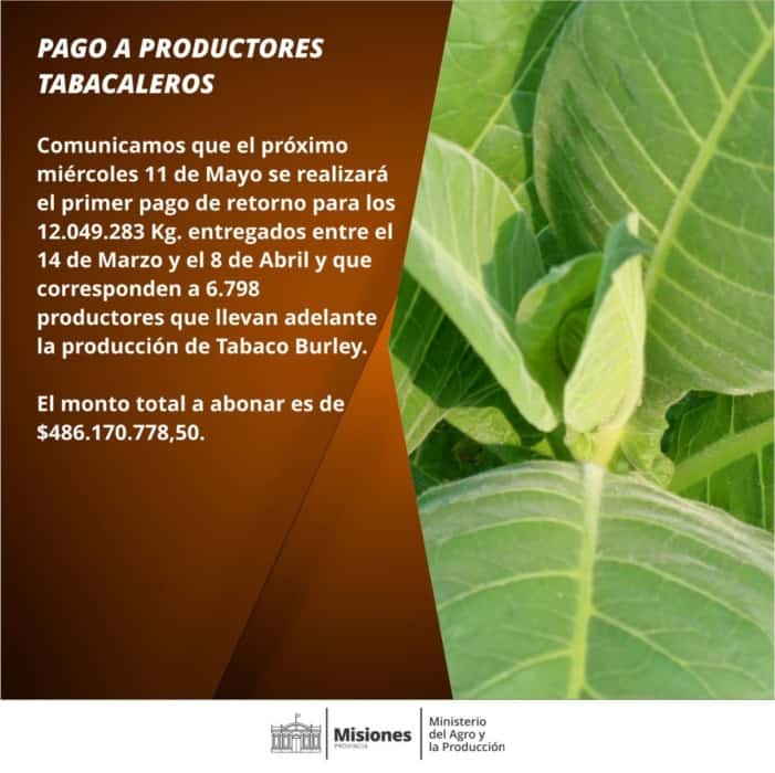 El miércoles pagarán $486 millones de retorno a productores tabacaleros 1 2 - WhatsApp Image 2022 05 01 at 7.31.58 AM - 1