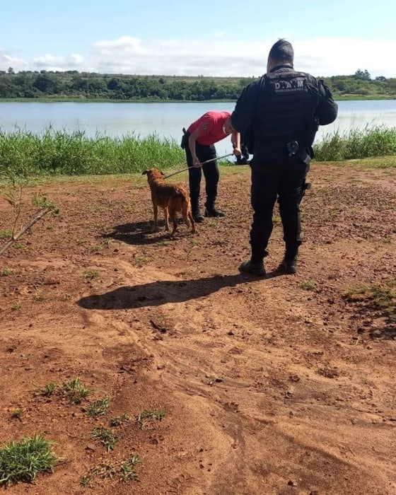 Rescataron a una perra que cayó al arroyo Mártires 1 2 - WhatsApp Image 2022 05 05 at 4.15.17 PM - 1