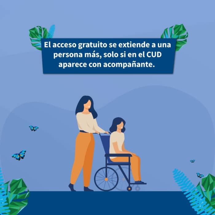 Rige en Posadas la accesibilidad gratuita a espectáculos para personas con discapacidad 3 6 - WhatsApp Image 2022 05 26 at 3.45.34 PM 1 - 5