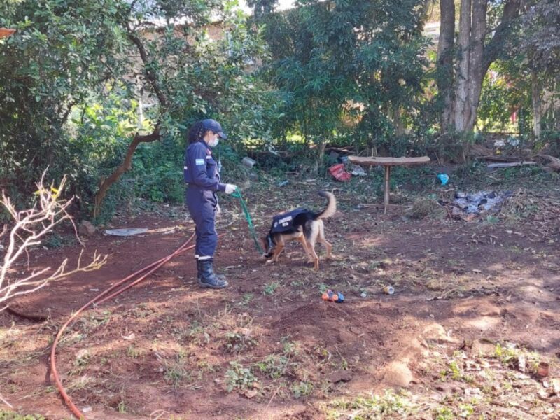 Continúa la búsqueda de Josías, el adolescente obereño desaparecido hace 14 días 4 8 - busqueda jos4 - 7