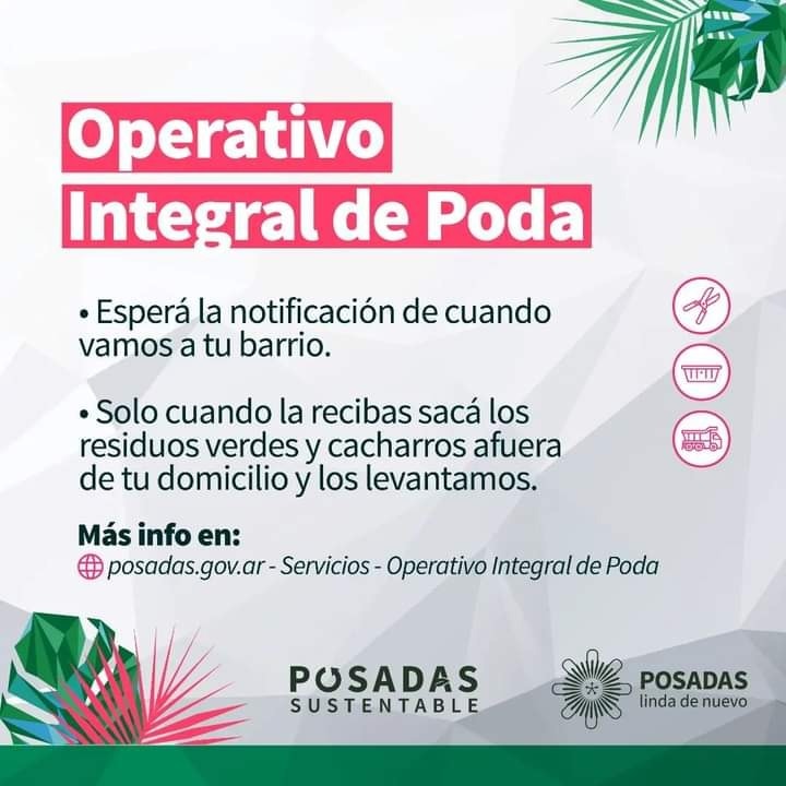 Continúan los operativos de poda en los barrios de Posadas 2 4 - poda posadas 1 - 3