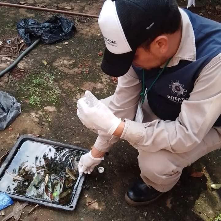 Recomiendan limpiar los patios para evitar la propagación del Aedes aegypti 1 2 - WhatsApp Image 2022 06 07 at 11.21.21 AM - 1