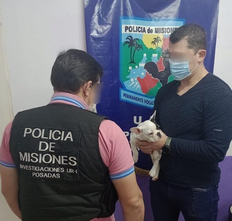 Detuvieron a un hombre captado por cámaras cuando robó un bulldog francés 1 2 - WhatsApp Image 2022 06 25 at 7.57.12 PM - 1