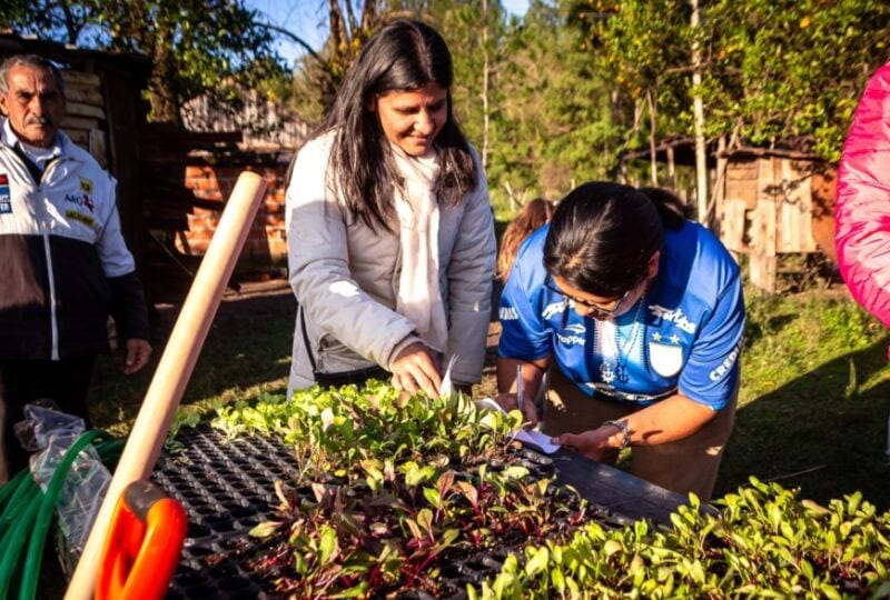 Posadas continúa promoviendo la producción orgánica y sustentable 2 4 - huertas 5 - 3