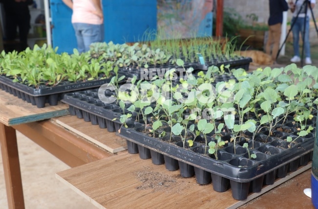Responsables de merenderos se capacitan en el fortalecimiento de la producción de huertas agroecológicas 2 4 - Capacitaciones 2 - 3