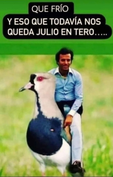 Los mejores memes de julio 4 8 - MEMES 5 - 7