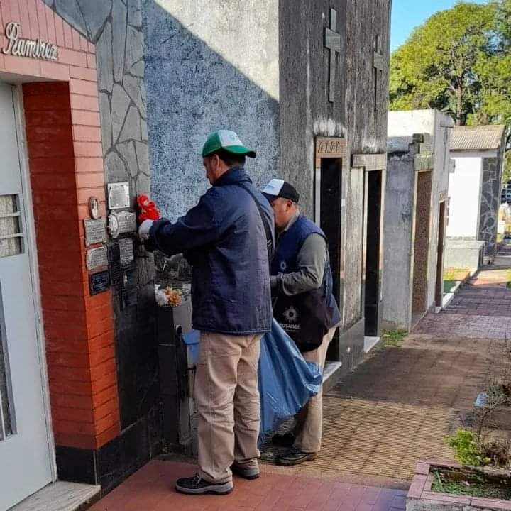 Baldes, floreros y neumáticos en desuso, los principales criaderos del Aedes aegypti 1 2 - dengue 1 - 1