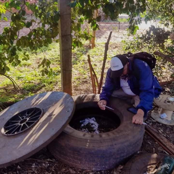 Baldes, floreros y neumáticos en desuso, los principales criaderos del Aedes aegypti 3 6 - dengue 4 - 5