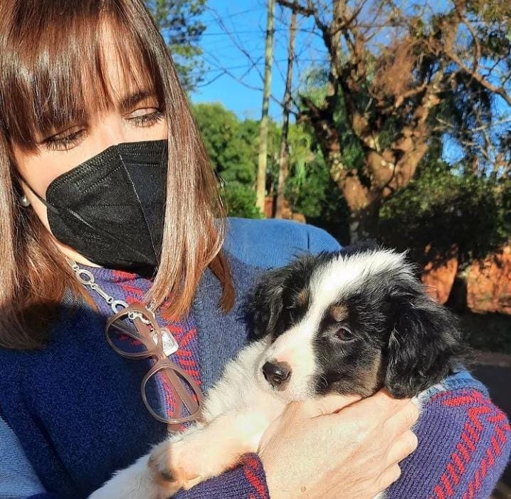 El móvil del Imusa recorrerá Posadas y brindará castración y vacunación para las mascotas 3 6 - mascotas 1 - 5