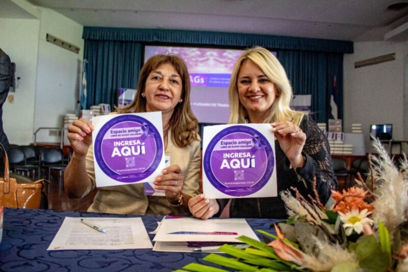 Se realizó la segunda sesión plenaria de trabajo del Consejo Provincial de Áreas de Género 6 12 - plenario desarrollo social y genero 6 - 11