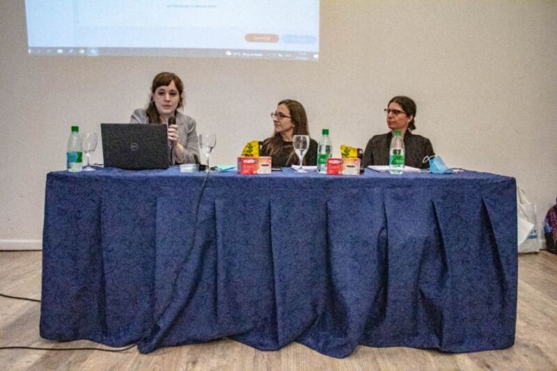 Se realizó la segunda sesión plenaria de trabajo del Consejo Provincial de Áreas de Género 9 18 - plenario desarrollo social y genero 9 - 17