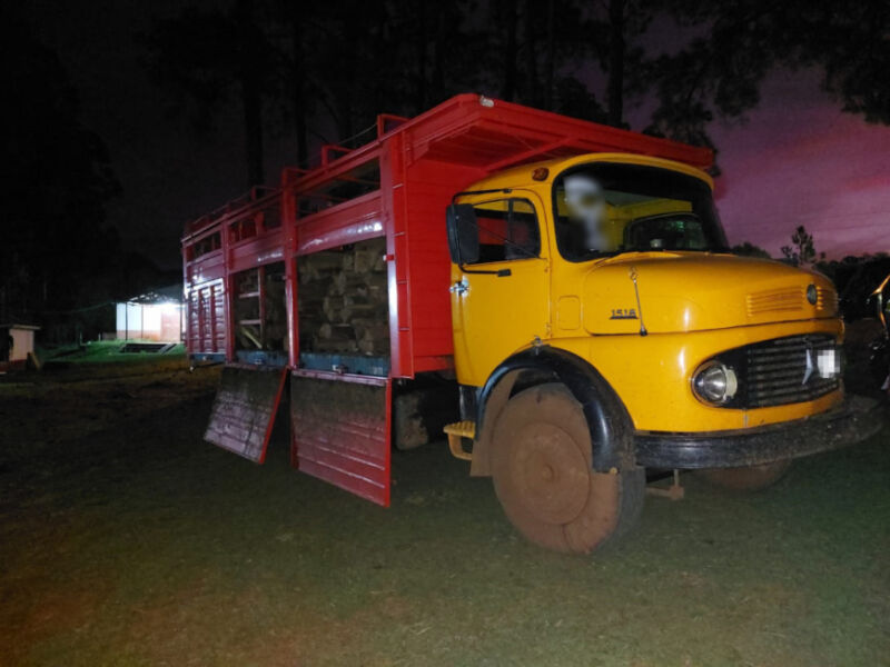 Secuestraron postes de madera nativa y cigarrillos extranjeros en Irigoyen 1 2 - - 1