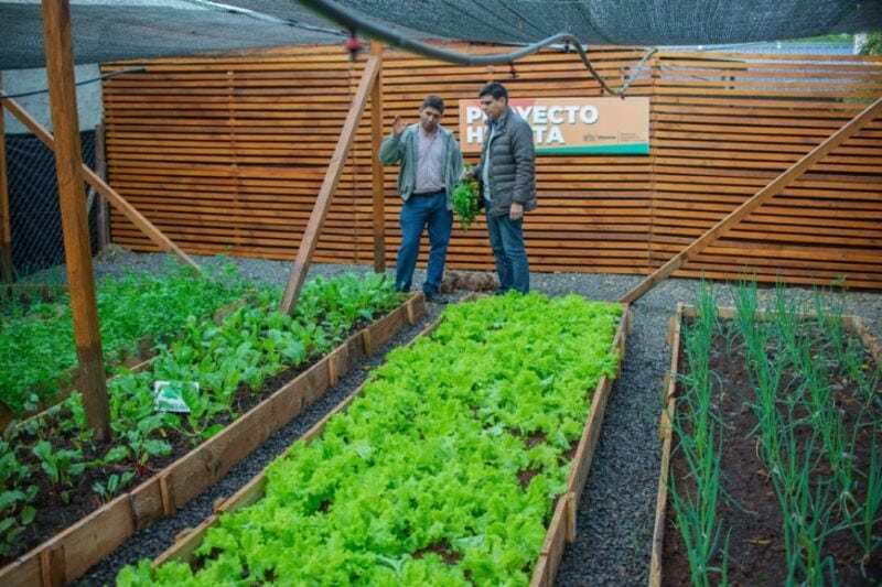 La Cocina Centralizada de Santa Rita contará con una huerta para producir sus alimentos 4 8 - La Cocina Centralizada de Santa Rita 2 - 7