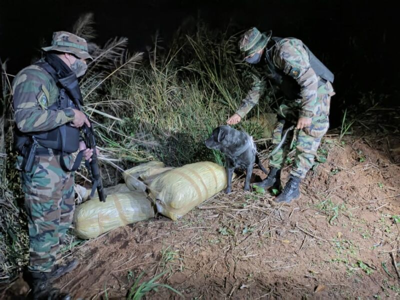 Secuestraron marihuana en Montecarlo valuada en más de 44 millones de pesos 2 4 - Secuestraron marihuana en Montecarlo 1 - 3