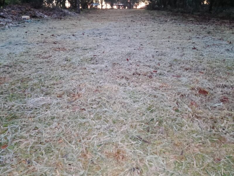 Heladas en la provincia: en Jardín América y Oberá la sensación térmica llegó a -0.9°C 1 2 - heladas en la provincia 1 - 1