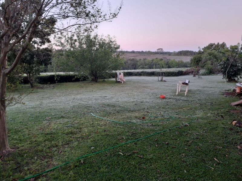 Heladas en la provincia: en Jardín América y Oberá la sensación térmica llegó a -0.9°C 4 8 - heladas en la provincia 4 - 7