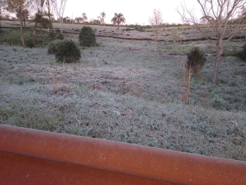 Heladas en la provincia: en Jardín América y Oberá la sensación térmica llegó a -0.9°C 6 12 - heladas en la provincia 6 - 11