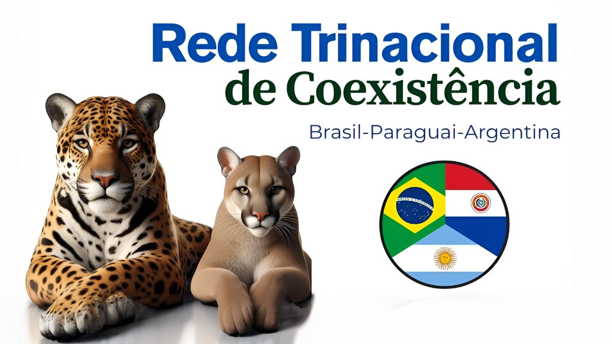 red-trinaciona-yaguarete-2 (1)