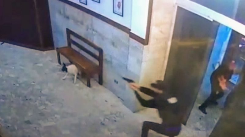 Entraron a una comisaría disfrazados y balearon a una policía