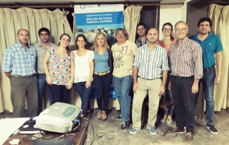 Las provincias del NEA buscan mejorar la cadena de la carne ovina