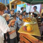 30656925 569353740109301 638210643874283520 n 1 - 5