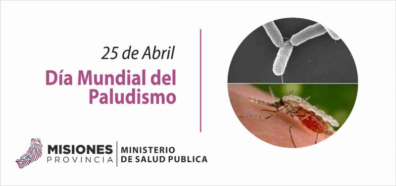 En el Día Mundial del Paludismo informaron sobre la enfermedad en el Hospital Escuela