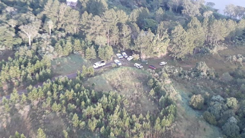 Narcotráfico: en lo que va del año se incautaron más de 52 toneladas de marihuana en Misiones