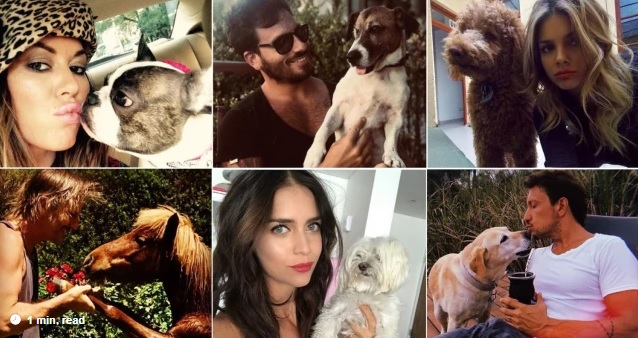 En el Día del Animal, conocé a las mascotas de los famosos