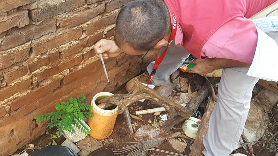Dengue: inspeccionaron más de 2500 hogares