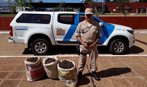 Secuestran más de 60 kilos de marihuana valuada en 1 millón 200 mil pesos
