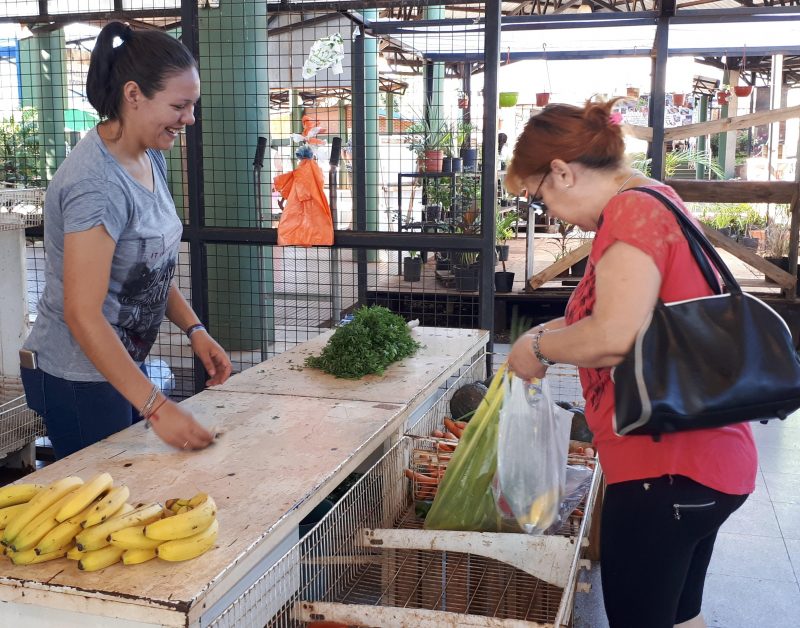 Ofertas en el Mercado Concentrador Zonal de Posadas vigentes hasta este sábado