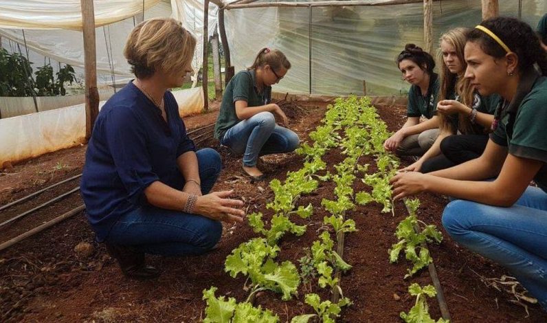 Agricultura Familiar: desde sus inicios acompaña a más de 30 mil familias productoras