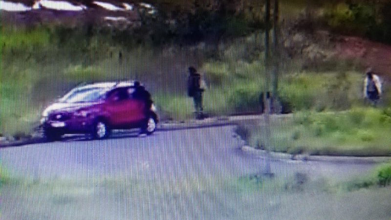 Cámaras capturaron a ladrones robando elementos de un auto estacionado: terminaron detenidos