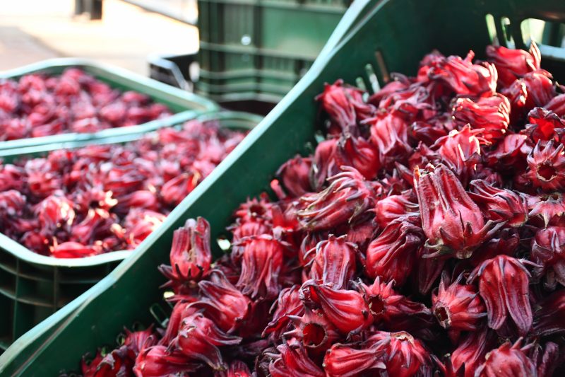 Dos de Mayo será sede del tercer “Encuentro zonal de ferias y productos de la agricultura familiar”