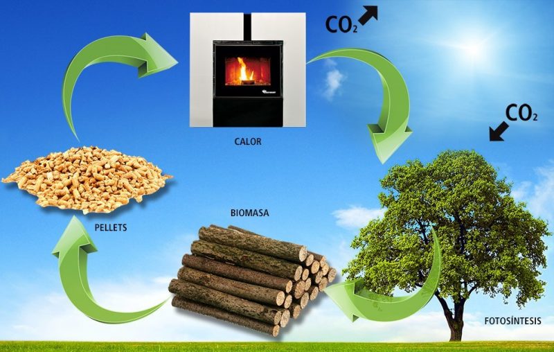 Generación de energía a partir de biomasa seca: realizarán capacitación en el Cambas