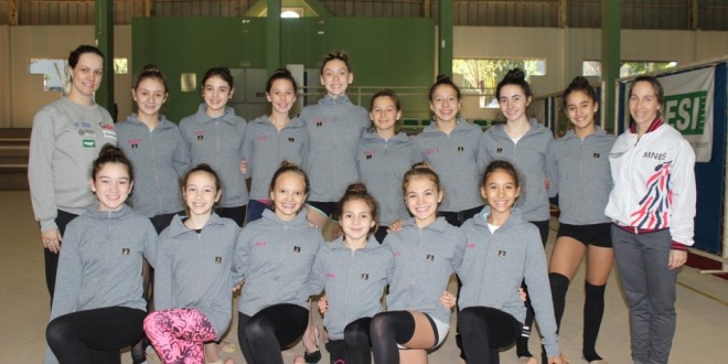 Gimnastas de Oberá se perfeccionaron en Brasil